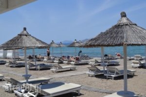 Diamond Deluxe Hotel - Adults Only_best prices_in_Hotel_Dodekanessos Islands_Kos_Kos Rest Areas