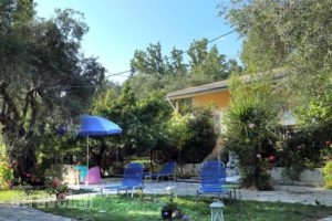 Rozalia Studios_best deals_Hotel_Ionian Islands_Lefkada_Sivota