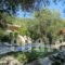 Rozalia Studios_best prices_in_Hotel_Ionian Islands_Lefkada_Sivota