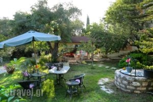 Rozalia Studios_lowest prices_in_Hotel_Ionian Islands_Lefkada_Sivota