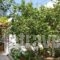 Matala View_best deals_Hotel_Crete_Heraklion_Matala