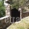 Kalia_best deals_Hotel_Aegean Islands_Thasos_Thasos Chora