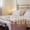 Amazones Village Suites_best prices_in_Hotel_Crete_Heraklion_Chersonisos