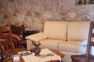 Alexandros Pension_travel_packages_in_Central Greece_Fokida_Amfissa