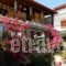 Star Paradise_accommodation_in_Hotel_Macedonia_Halkidiki_Neos Marmaras