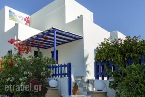 Marioly Studios_accommodation_in_Hotel_Cyclades Islands_Paros_Paros Chora