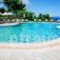 Alkion_lowest prices_in_Hotel_Macedonia_Halkidiki_Kassandreia