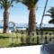 Nefeli Studios_best deals_Hotel_Central Greece_Fokida_Eratini