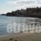 Hotel Alexandra_best deals_Hotel_Cyclades Islands_Syros_Posidonia