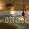 Drosia Hotel_best deals_Hotel_Macedonia_Pella_Aridea