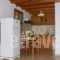 Athina Studios_best deals_Hotel_Dodekanessos Islands_Simi_Symi Chora