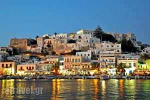 Studios Alsos_best prices_in_Hotel_Cyclades Islands_Naxos_Naxos chora