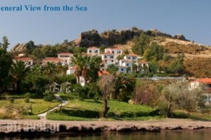 Clara Hotel_travel_packages_in_Aegean Islands_Lesvos_Petra