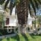 Arillas Studios_best deals_Hotel_Ionian Islands_Corfu_Arillas