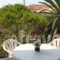 Arillas Studios_holidays_in_Hotel_Ionian Islands_Corfu_Arillas