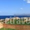 Irene_holidays_in_Hotel_Crete_Chania_Chania City