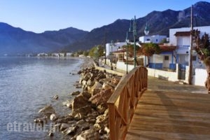 Ellibay_best prices_in_Hotel_Dodekanessos Islands_Tilos_Tilos Chora