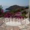 Palataki Absolute Blue_best prices_in_Hotel_Ionian Islands_Zakinthos_Zakinthos Rest Areas