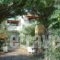 Albatross_lowest prices_in_Hotel_Aegean Islands_Samos_Kambos