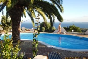 Sofia Studios_accommodation_in_Hotel_Ionian Islands_Kefalonia_Kefalonia'st Areas