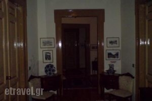 Panellinion_accommodation_in_Hotel_Thessaly_Trikala_Trikala City