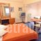 Acropole Hotel_best prices_in_Hotel_Central Greece_Attica_Piraeus