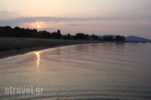 Haus Eleonas_travel_packages_in_Macedonia_Halkidiki_Poligyros