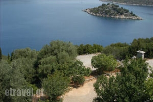 Olympia's House_lowest prices_in_Room_Ionian Islands_Ithaki_Ithaki Rest Areas