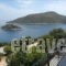 Olympia's House_best prices_in_Room_Ionian Islands_Ithaki_Ithaki Rest Areas