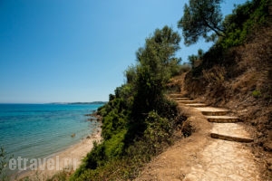 Colonides Beach Hotel_best prices_in_Hotel_Peloponesse_Messinia_Vounaria