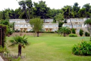 Sani Beach Club_accommodation_in_Hotel_Macedonia_Halkidiki_Sani