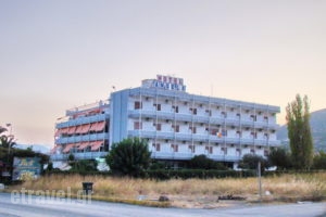 Angela_best prices_in_Hotel_Central Greece_Evia_Halkida