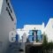 Rodia Studios_accommodation_in_Apartment_Cyclades Islands_Naxos_Naxos Chora