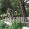 Para Thin Alos_best deals_Hotel_Macedonia_Halkidiki_Pefkochori