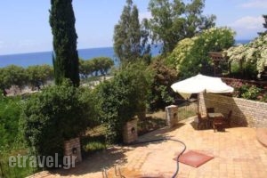 Kanellakis_best prices_in_Hotel_Peloponesse_Messinia_Kyparisia