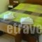 Diana_accommodation_in_Hotel_Central Greece_Fthiotida_Kamena Vourla