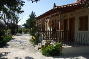 Studio Candia_accommodation_in_Hotel_Peloponesse_Argolida_Kandia