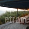 Julia_accommodation_in_Hotel_Cyclades Islands_Paros_Paros Chora