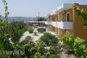 Manolis Studios_best deals_Hotel_Dodekanessos Islands_Kos_Kos Rest Areas