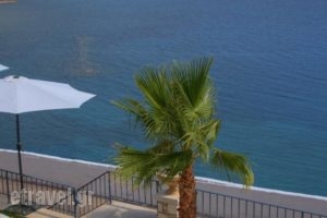 Palazzo Greco_best deals_Hotel_Crete_Rethymnon_Plakias