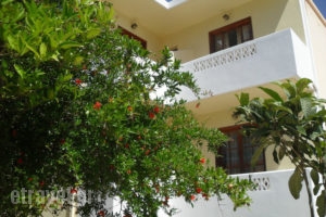 Irini Studios_best deals_Hotel_Crete_Heraklion_Stalida