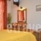 Rena Valetta Studios_best prices_in_Hotel_Cyclades Islands_Naxos_Naxos Chora