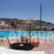 Purple Pig Stars Camping & Bungalows_lowest prices_in_Hotel_Cyclades Islands_Ios_Ios Chora