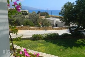 Ostria Studios_travel_packages_in_Cyclades Islands_Andros_Gavrio