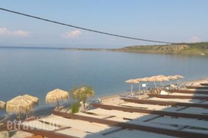 9 Musses Studios_accommodation_in_Hotel_Aegean Islands_Lesvos_Polihnit's