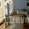 Anett Studios_lowest prices_in_Hotel_Peloponesse_Lakonia_Elafonisos