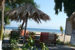 Sweet Dreams_best deals_Hotel_Ionian Islands_Corfu_Lefkimi