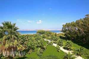 Cavo D' Oro Hotel_best deals_Hotel_Dodekanessos Islands_Kos_Kos Rest Areas