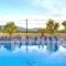 Tassia Studios_best prices_in_Hotel_Ionian Islands_Zakinthos_Laganas