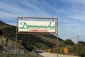 Drosostalia_food_in_Restaurant___Menelaida